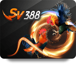 How to Maximize Your Earnings with BK8 Slot Baccarat